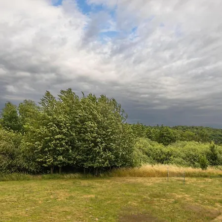 Lägenhet Boddenhof 52 - Balkon, Hundefreundlich *
